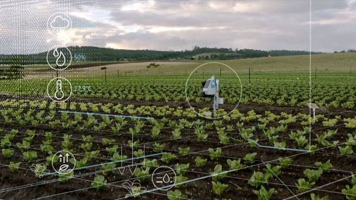 AI trong nông nghiệp