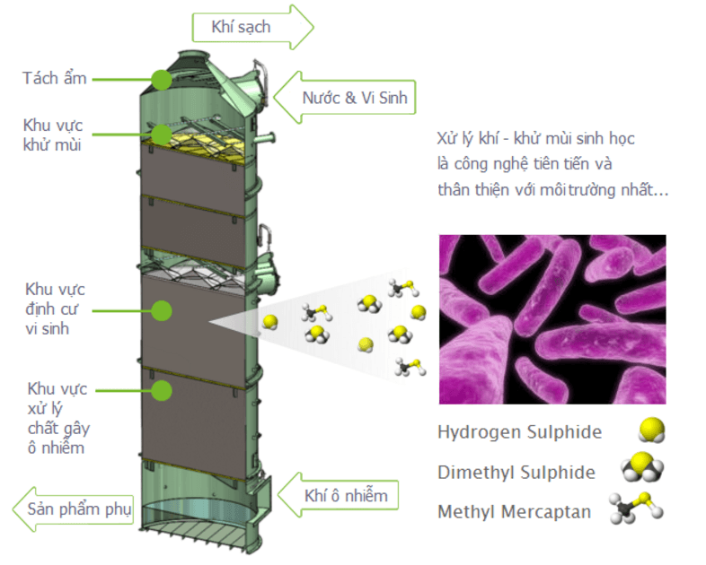 Hệ thống lọc sinh học - Bio-trickling Filter